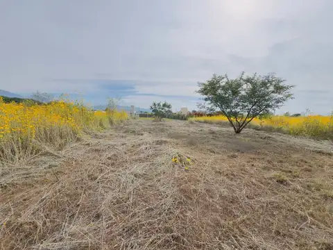 Terreno en Venta de 612,0 m2