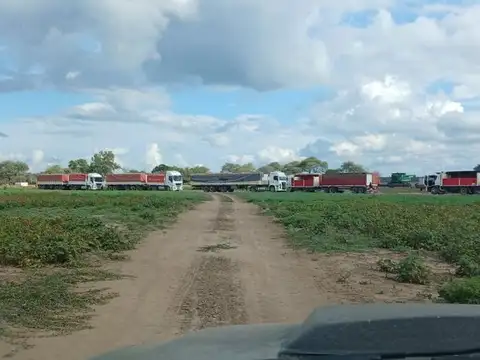 VENTA DE CAMPO AGRICOLA 1000- GANAD. 256 HECTAREAS