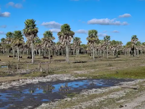 Mercedes, Corrientes