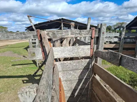 Campo ganadero y arrocero en zona centro de Corrientes