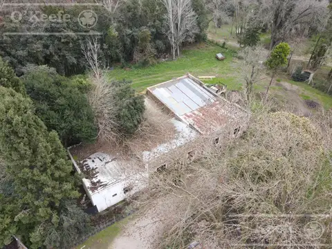 Chacra en venta 8,5 has Brandsen sobre ruta