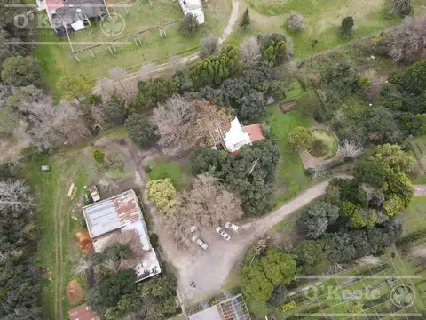 Chacra en venta 8,5 has Brandsen sobre ruta