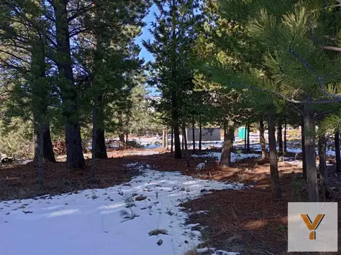 Terreno en Venta de 1068,0 m2