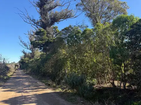 Venta  Chacra 4 has  Camino de las Tropas Toledo