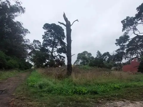 Terreno en Venta de 256,0 m2