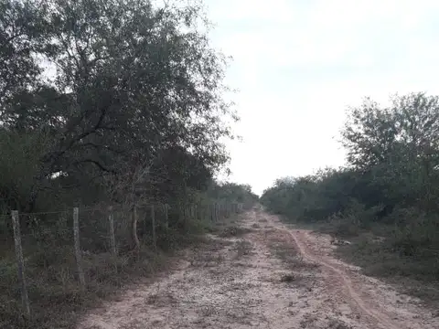 Santiago del Estero - ruta  21