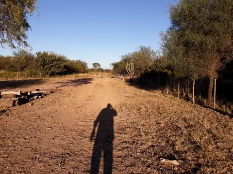 Campo en Venta de 577  ha