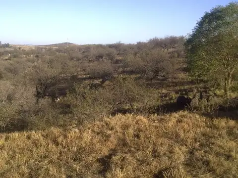 VENTA LOTE TIERRA ALTA 601M2