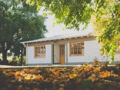 Galpon en Venta en San Rafael, USD 1.000.000