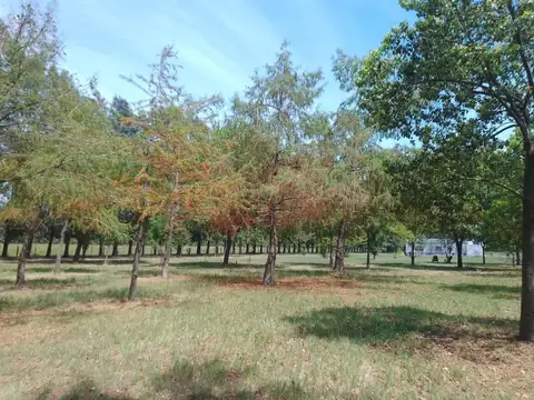 Hermosa chacra rural con casa parque posible permuta.