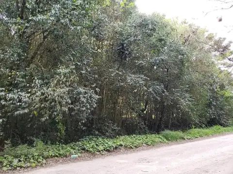 Cortázar y Mariano Moreno