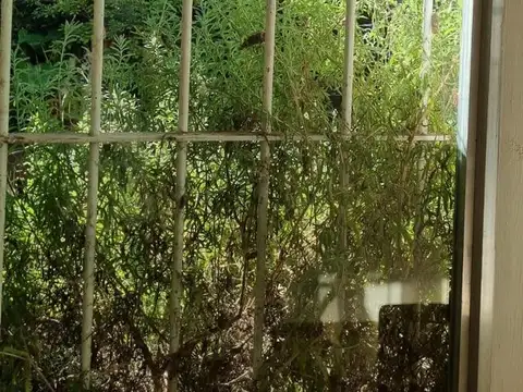 Depto Tipo Casa 3 ambientes con 2 baños