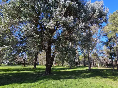 Campo en Venta Agricola