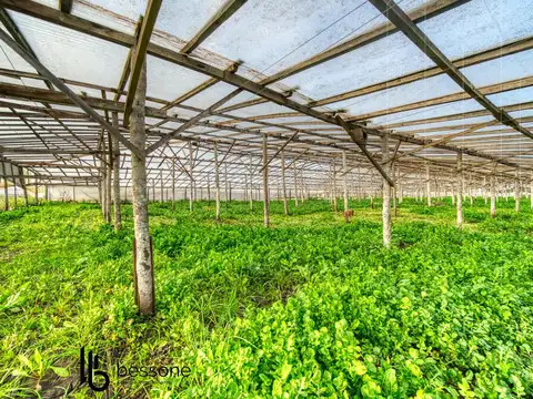 Campo 100% Agricola en Batan