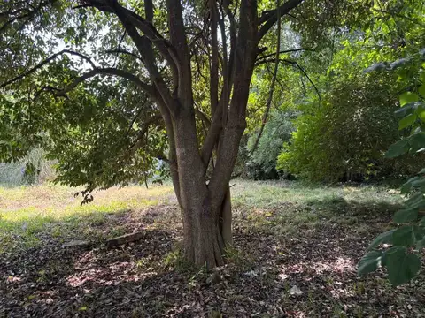 Terreno en Venta de 1100,0 m2