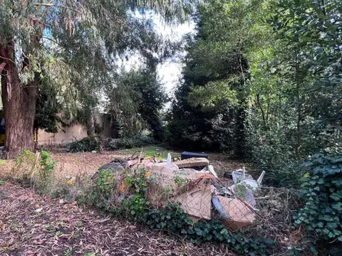 Mangore entre Calchaquies y Caroyas