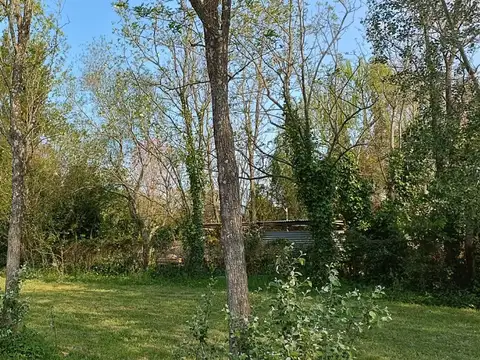 Lote en Esquina frente a plaza 15 x 50  de  750 m²