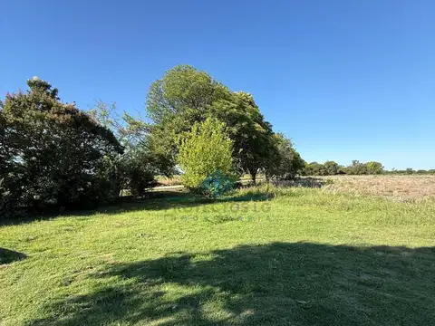 jose romanutti esquina 140