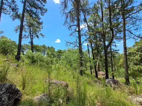 Campo en Venta de 17  ha
