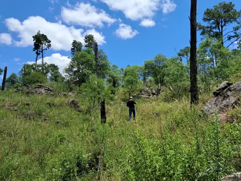 Fracción 17 hectáreas