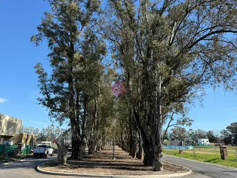 Terreno en Venta en Pilar del Este - Santa Emilia, USD 46.500