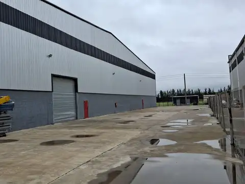 Puente del Inca al 2000