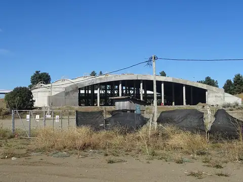 Av. Las Victorias  al 2000