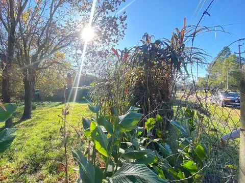 Terreno en Venta de 250,0 m2