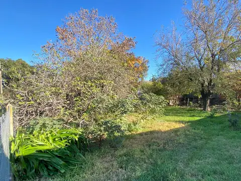 Terreno en Venta de 250,0 m2
