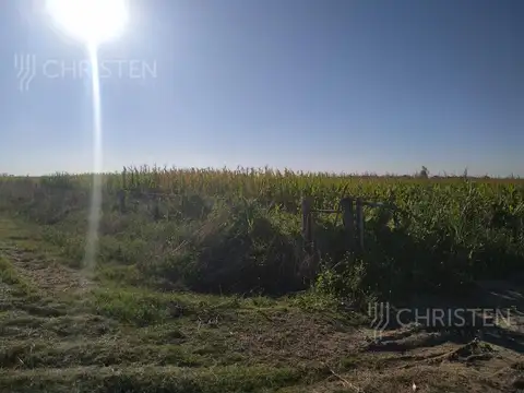 100 HECTAREAS AGRICOLAS EN CAYASTACITO