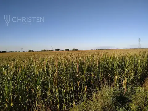 Cayastacito A 500 metros de la ruta 62