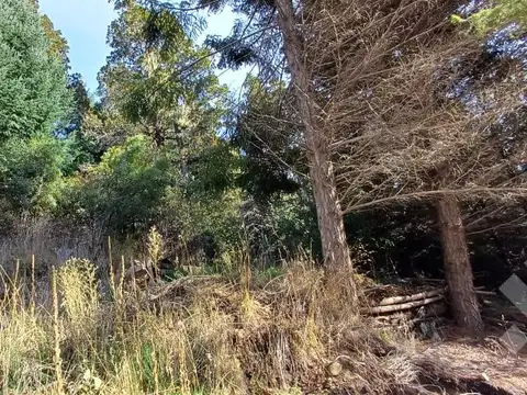 Venta Terreno con Platea - 1184 Mts2 - Morro de Alihuen - San Martín de los Andes