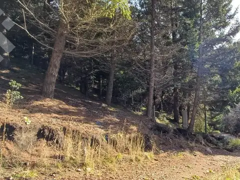 Terreno en Venta de 1184,0 m2