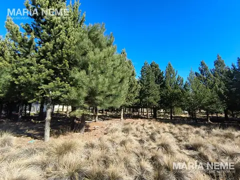 Club de Campo Dos Valles