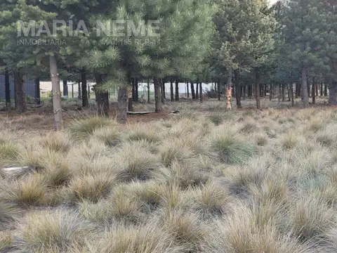 Terreno en Venta 33  mts Fondo