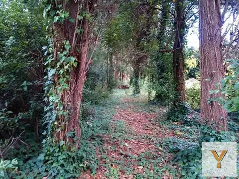 Brisas del Sud