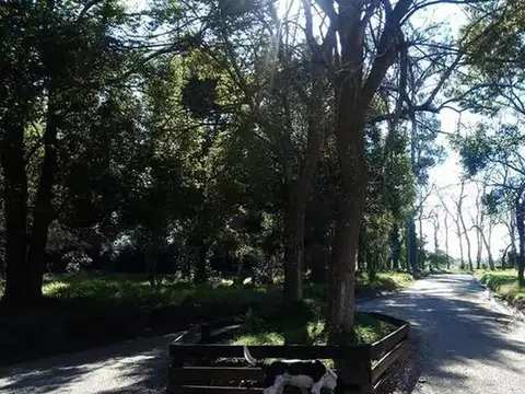 Terreno en Venta en La Capilla, USD 23.000