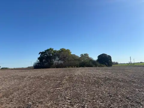 Campo en venta 17 has agrícolas luz enfrente, arboleda.
