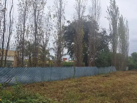 MERCED CHICA , SALTA, ROSARIO DE LERMA