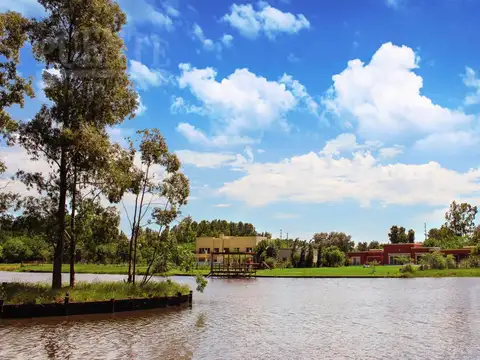 Fincas de San Vicente Golf