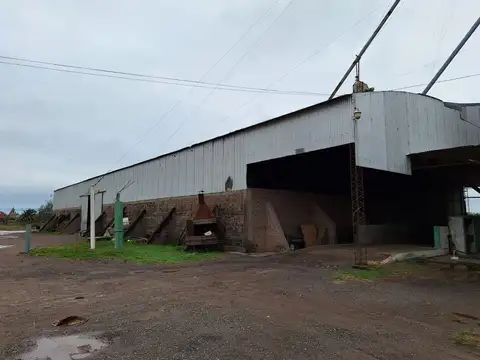VENTA PLANTA DE ACOPIO y GALPÓN S.J.N