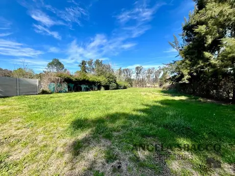 Terreno en Venta 50  mts Fondo
