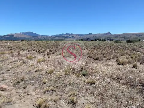 Las Marías del Valle 100