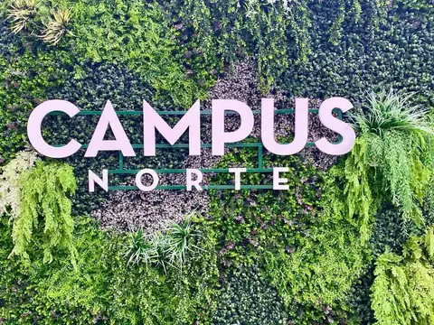 Departamento en Alquiler al Este