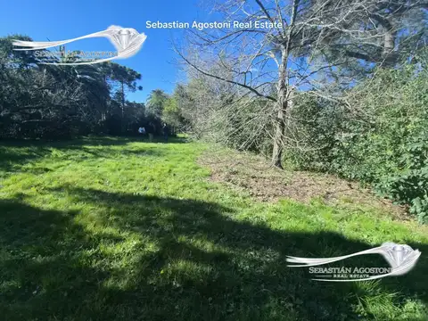 Terreno en Venta 19  mts Fondo
