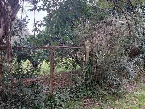 Santos Vega al 800