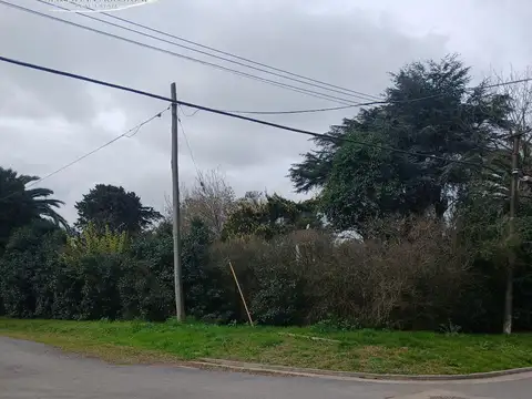 Terreno en Venta 19  mts Fondo