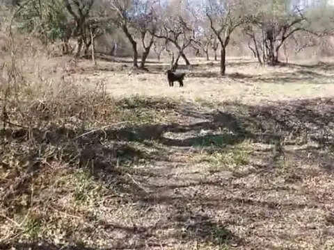 LOTE BARRIO SERRANIAS RIO CEBALLOS CON ESCRITURA