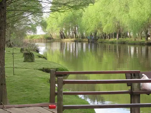 Terreno Emp. Rural  en Venta en Islas de Zarate, Zárate, G.B.A. Zona Norte