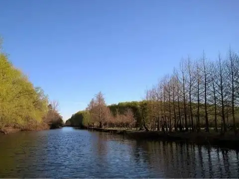 Canal Ñacurutú, Isla, Zarate 38h
